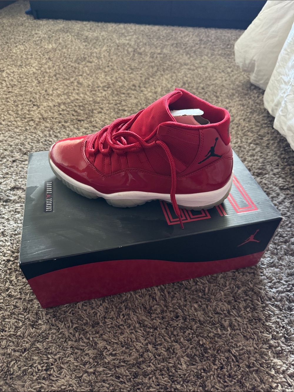 Jordan 11 retro